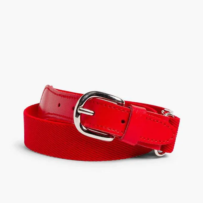 Cinturones Y Tirantes<Pisamonas Cinturon Elastico Liso Niños