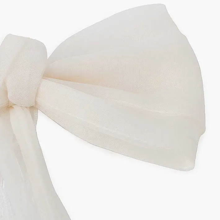 Para El Pelo<Pisamonas Peineta Lazo Organza Cintas